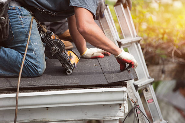 Best Roof Gutter Cleaning  in Wells, NV