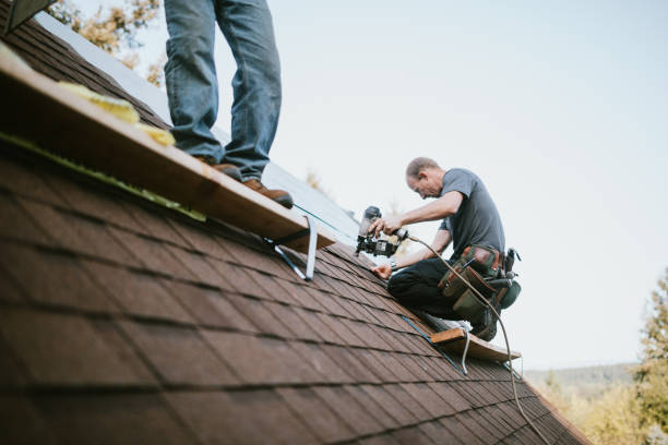 Quick and Trustworthy Emergency Roof Repair Services in Wells, NV